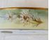 Picture of French hand painted porcelain trinket box