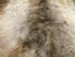 Picture of Norwegian Deer skin rug