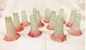 Picture of Lot of 12 Tulip frosted glass shades